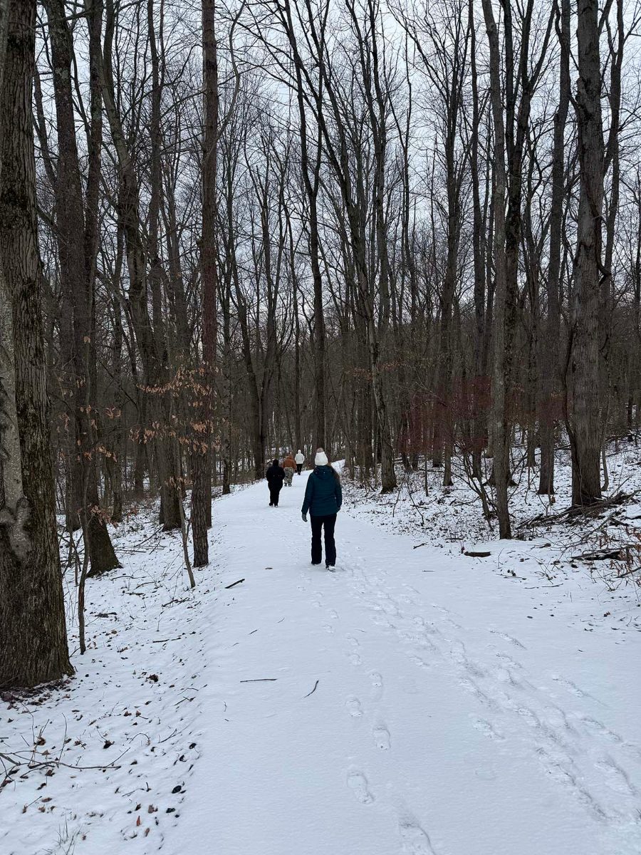 Retreat guests walking a snow-covered trail through bare winter woods