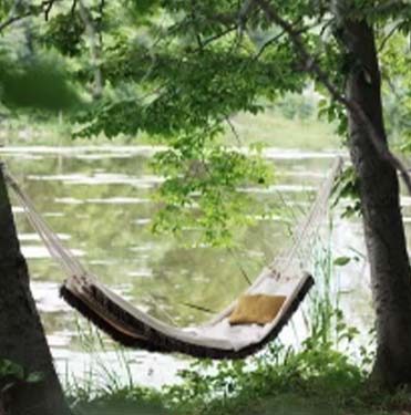A hammock strung between two trees beside a pond